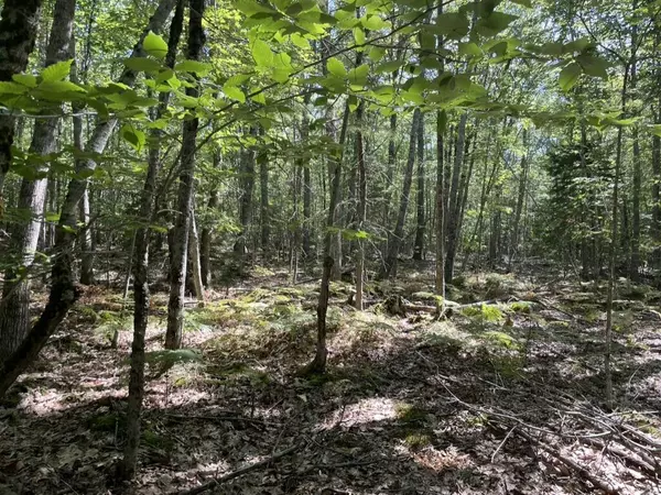 Lot 7A Hutchings RD, Nobleboro, ME 04555