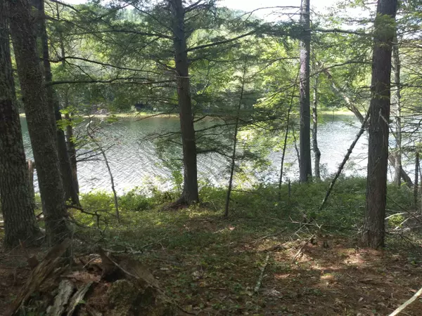 Stoneham, ME 04231,354 Horseshoe Pond RD