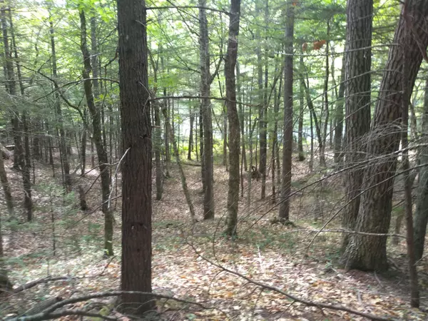 Stoneham, ME 04231,354 Horseshoe Pond RD