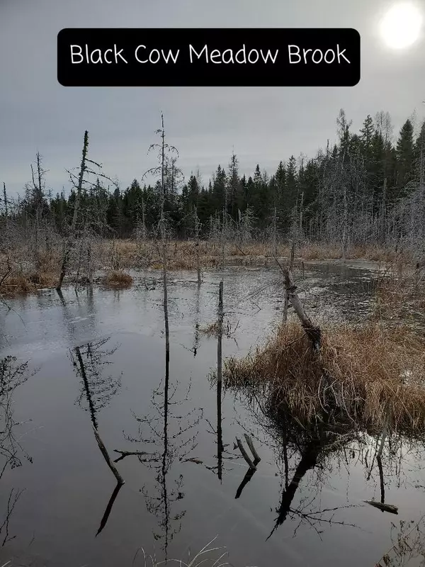 Northfield, ME 04654,35-2 Black Cow Meadow RD