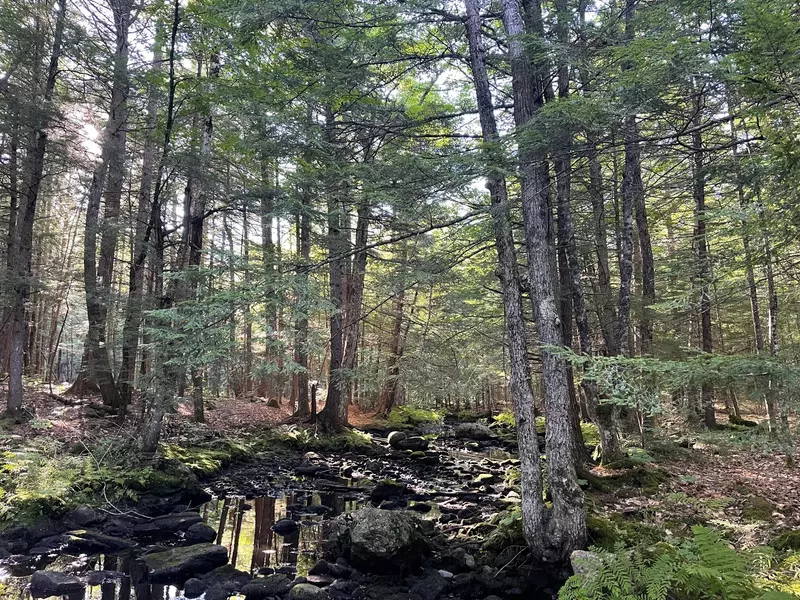 Lot 5-4 Ledge Hill RD, Bowdoin, ME 04287