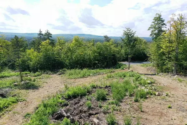 Greenville, ME 04441,50 Black Bear LN