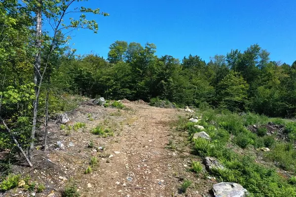 Greenville, ME 04441,50 Black Bear LN