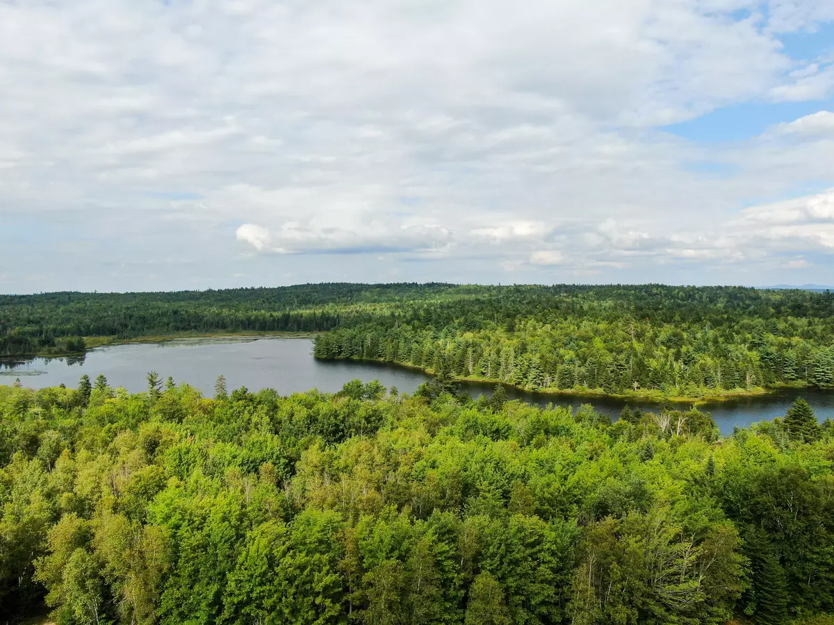 Robbinston, ME 04671,Lot 1 Steam Mill Road