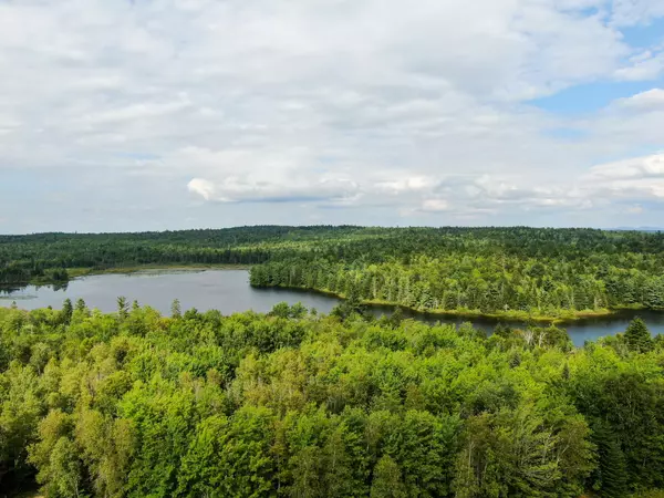 Lot 1 Steam Mill Road, Robbinston, ME 04671