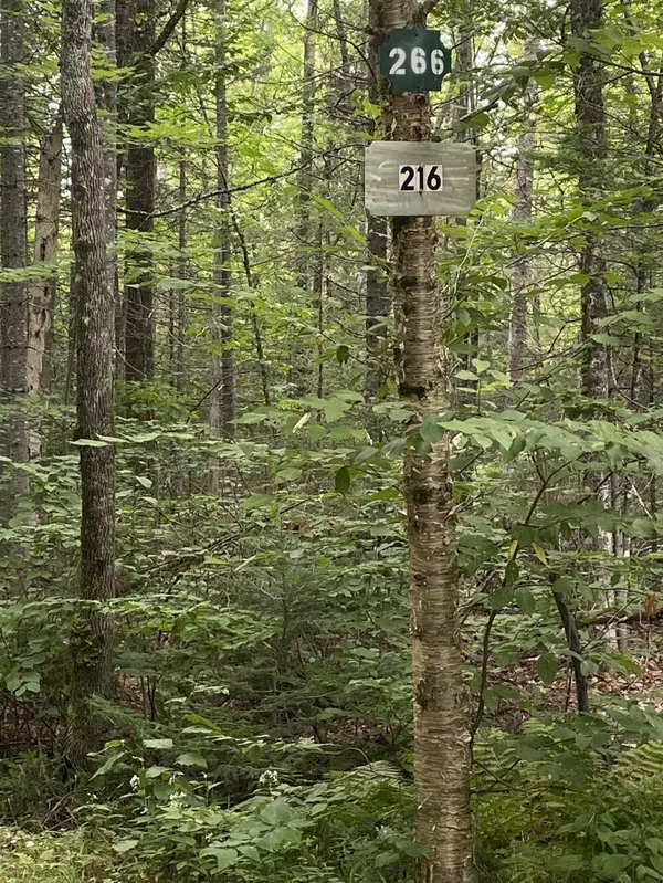 Brighton Plt, ME 04912,216 White House Hill RD