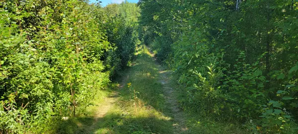 Mount Chase, ME 04765,350 Ackley Pond RD