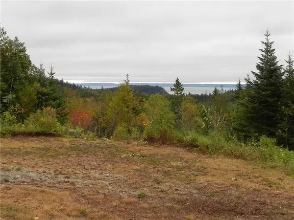 Trescott Twp, ME 04652,Lot 52, 54 Dixie RD