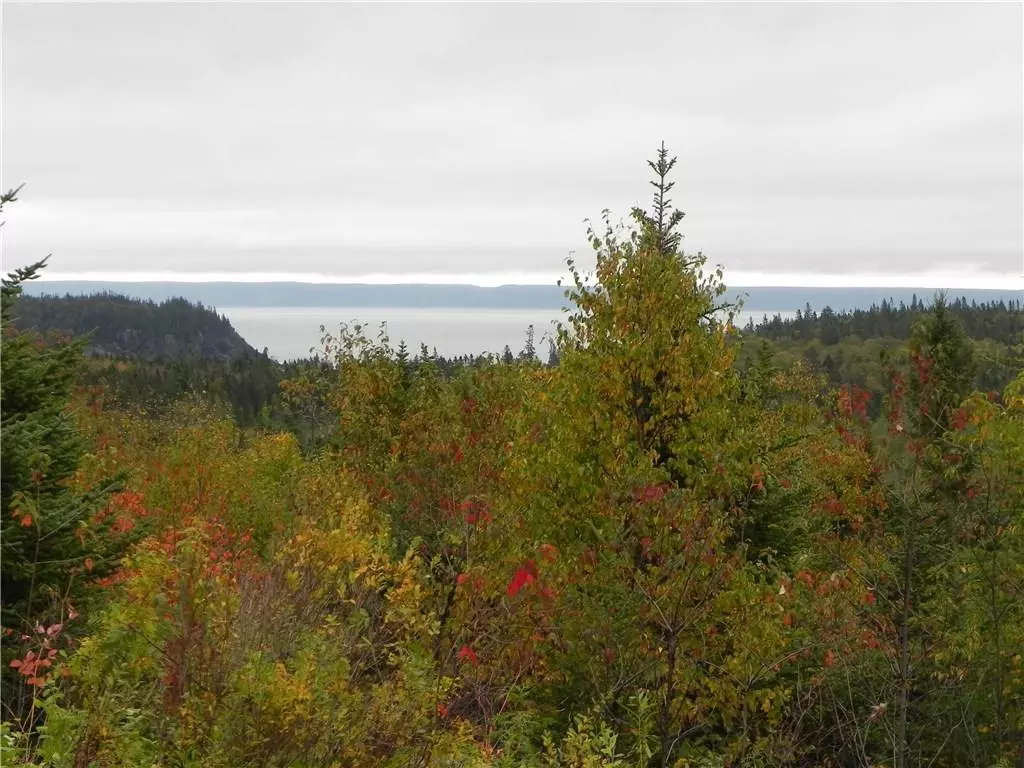 Trescott Twp, ME 04652,Lot 52, 54 Dixie RD