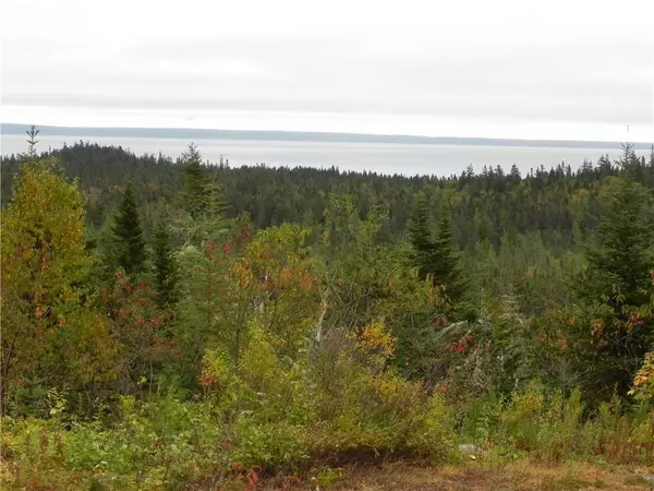 Trescott Twp, ME 04652,Lot 52, 54 Dixie RD