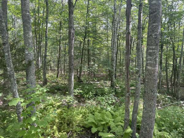 0 Bald Mountain RD, Camden, ME 04843