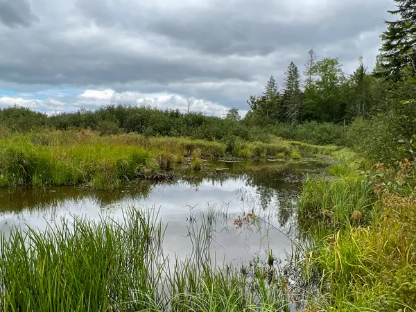 351 Meadow Road, Corinth, ME 04427