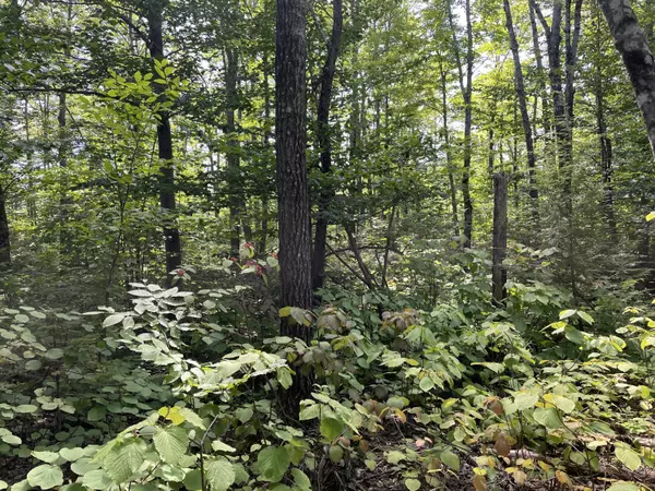 Phillips, ME 04966,R17-L13 Weld RD