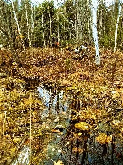 Deblois, ME 04622,L57 Eleanor Mae RD