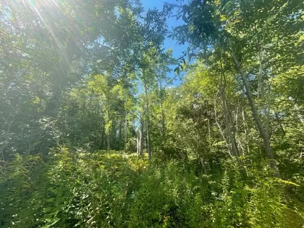 Rockport, ME 04856,0 Ben Paul LN