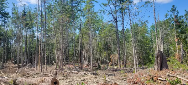 Steuben, ME 04680,0 US Route 1