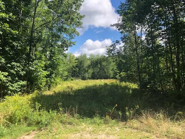 Mechanic Falls, ME 04256,Lot 9-4B Route 26 (Pigeon Hill Road) Route