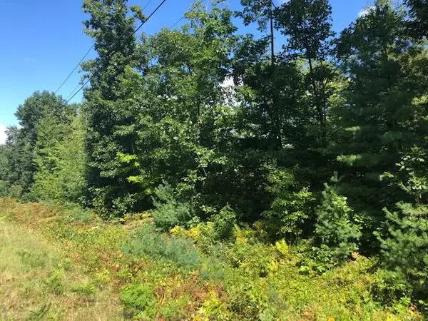 Mechanic Falls, ME 04256,Lot 9-4B Route 26 (Pigeon Hill Road) Route