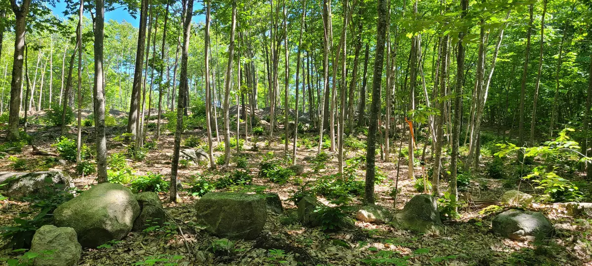 Naples, ME 04055,152 Dunton RD
