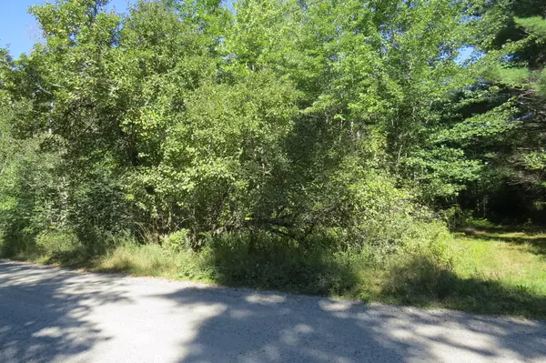 Mariaville, ME 04605,176 Morrison Farm RD