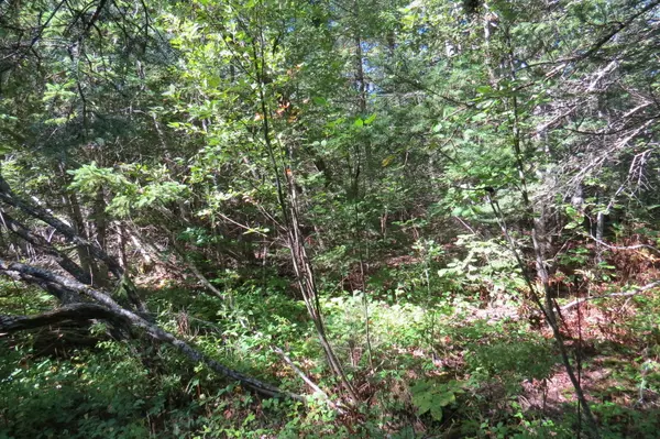 Mariaville, ME 04605,176 Morrison Farm RD