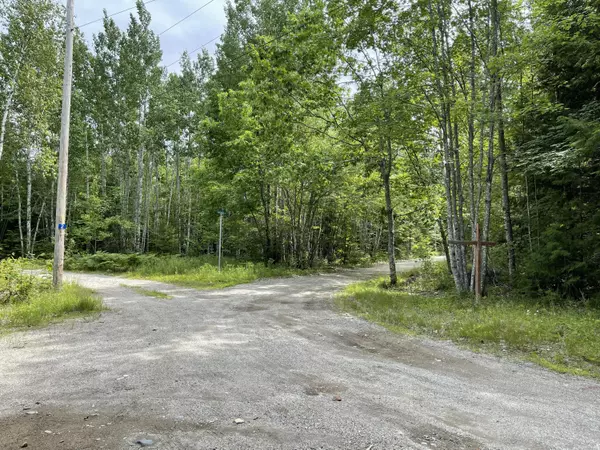 Mariaville, ME 04605,Map 6-44B2 Hayshack RD