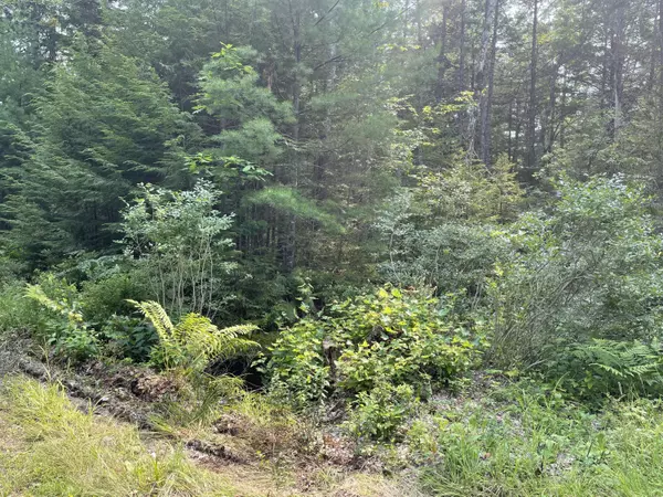 Mariaville, ME 04605,MapU1 Lot5 Silsby RD