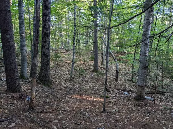 Lot 50 Fernalds Hill WAY, Stow, ME 04037
