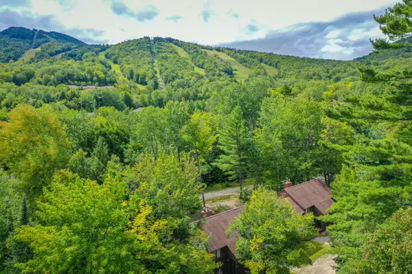 Newry, ME 04261,43 Spectator RD #C3