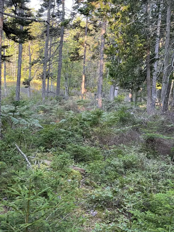 Winter Harbor, ME 04693,0 Deep Cove RD