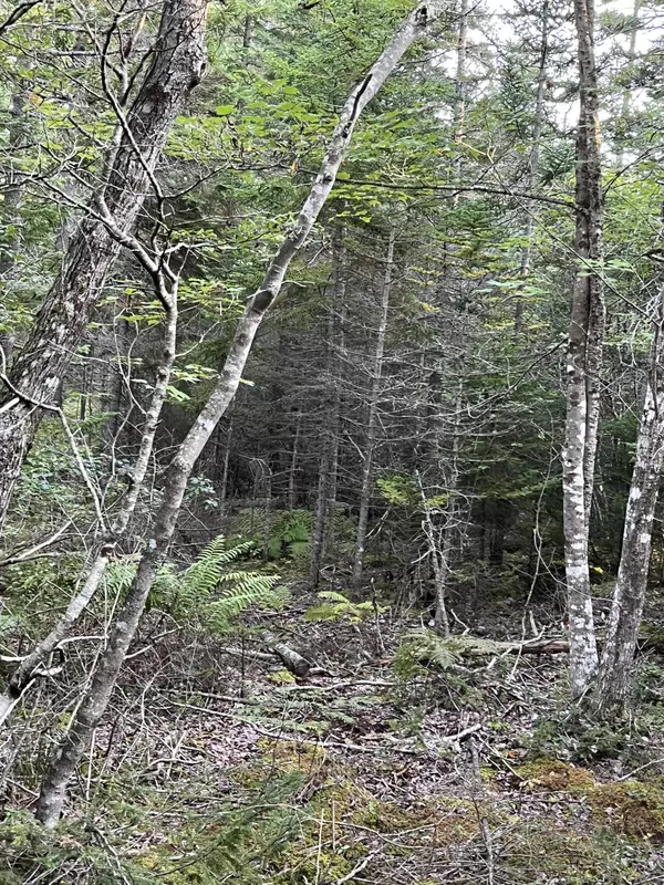 Winter Harbor, ME 04693,0 Deep Cove RD