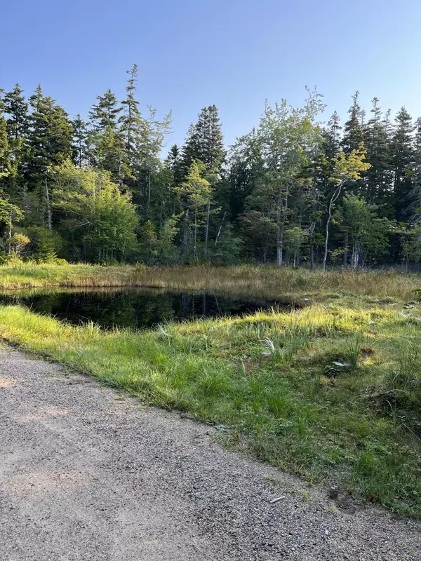 0 Deep Cove RD, Winter Harbor, ME 04693