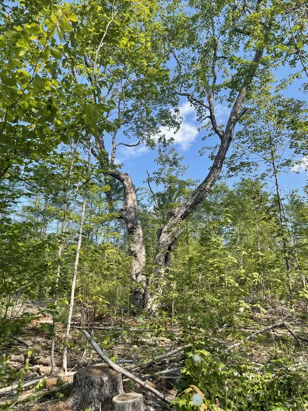 Norridgewock, ME 04957,tbd M25L34 Old Schoolhouse RD