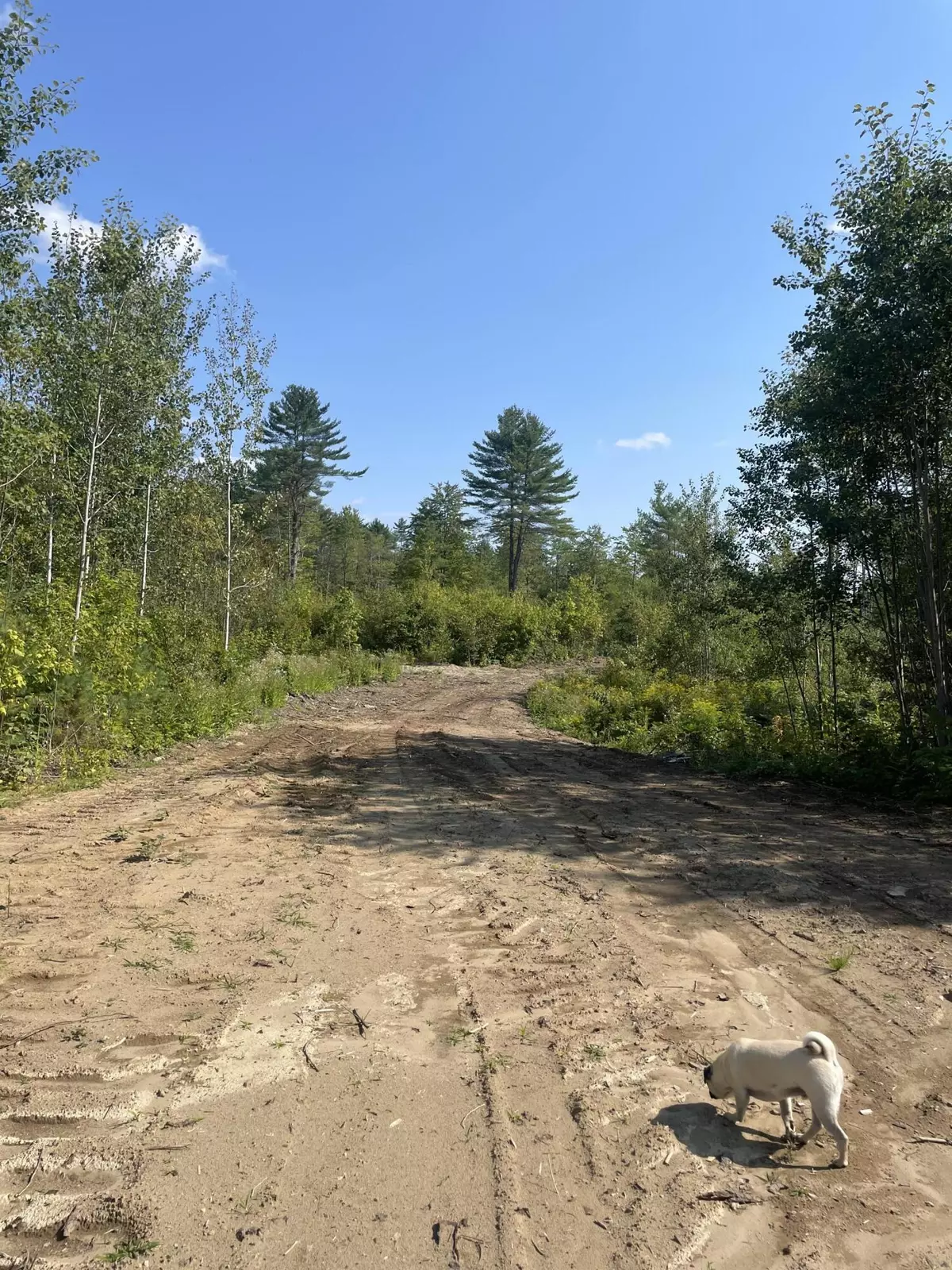 Norridgewock, ME 04957,tbd M25L34 Old Schoolhouse RD