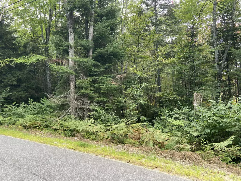 Lot 29-02 Dead River RD, Bowdoin, ME 04008