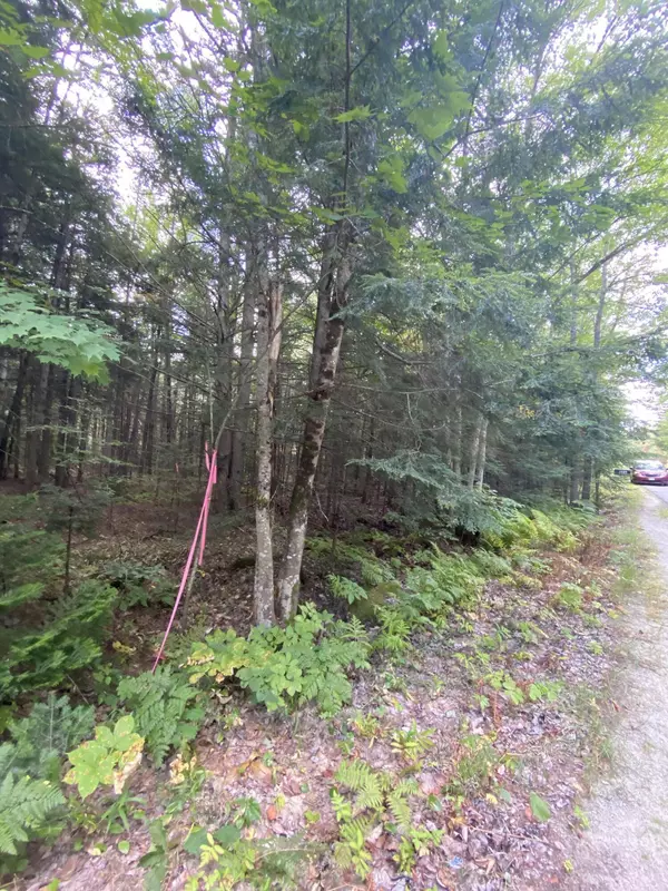 Lot 31-0 Dead River RD, Bowdoin, ME 04008