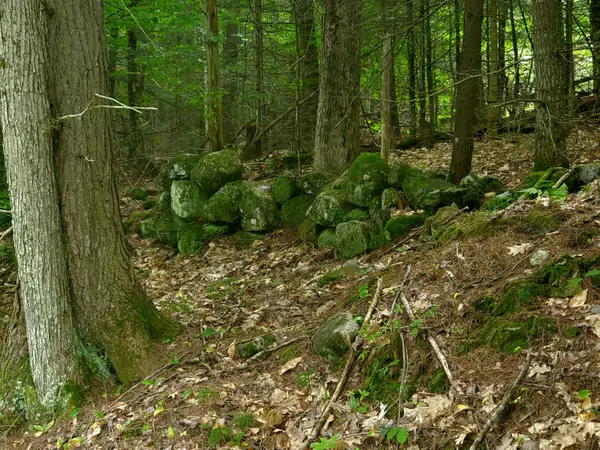 Limerick, ME 04047,3-3A TBD Old Middle RD