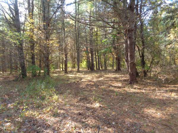 lot# off Lower Main ST, North Berwick, ME 03906