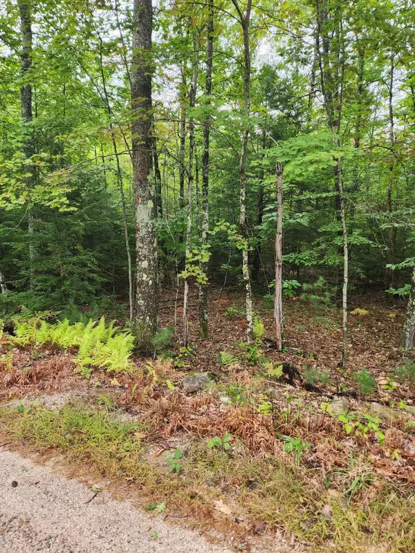 Shapleigh, ME 04076,Lot # 4 Coley Trafton RD