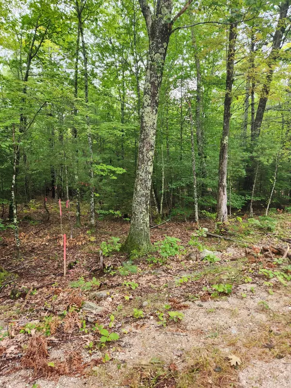 Shapleigh, ME 04076,Lot # 4 Coley Trafton RD