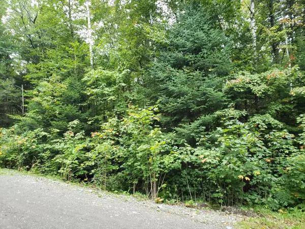 Greenville, ME 04441,Lot 1 Rum Ridge RD