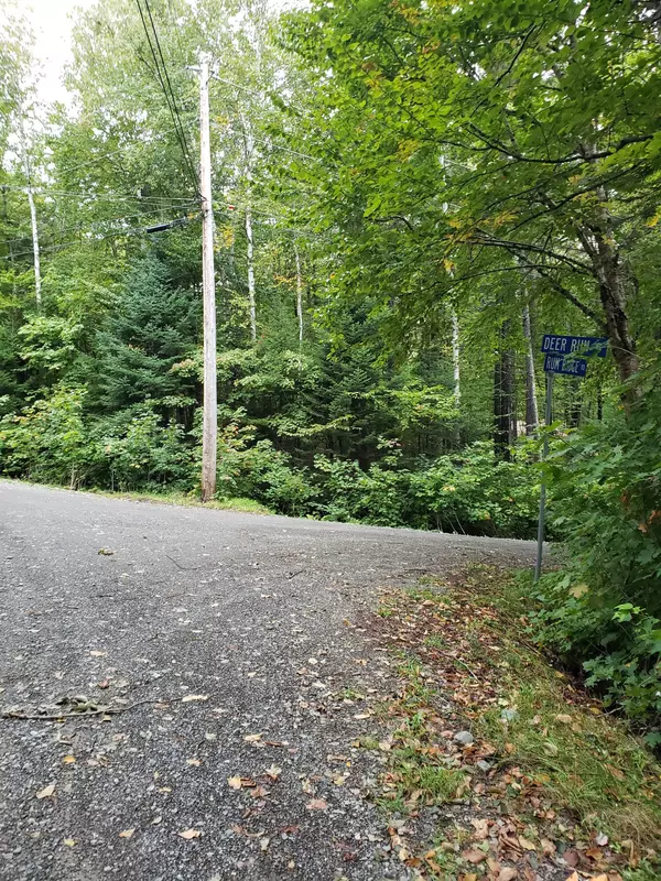 Greenville, ME 04441,Lot 1 Rum Ridge RD