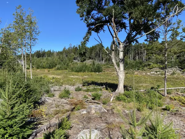 Tremont, ME 04674,Map9Lot34C Perley's WAY