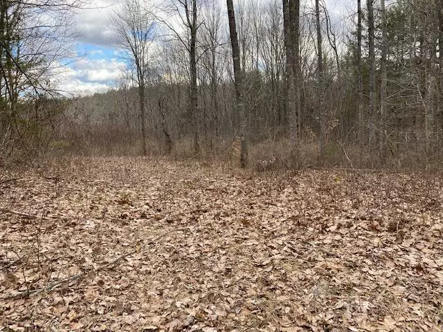 Newcastle, ME 04553,0 Ridge RD