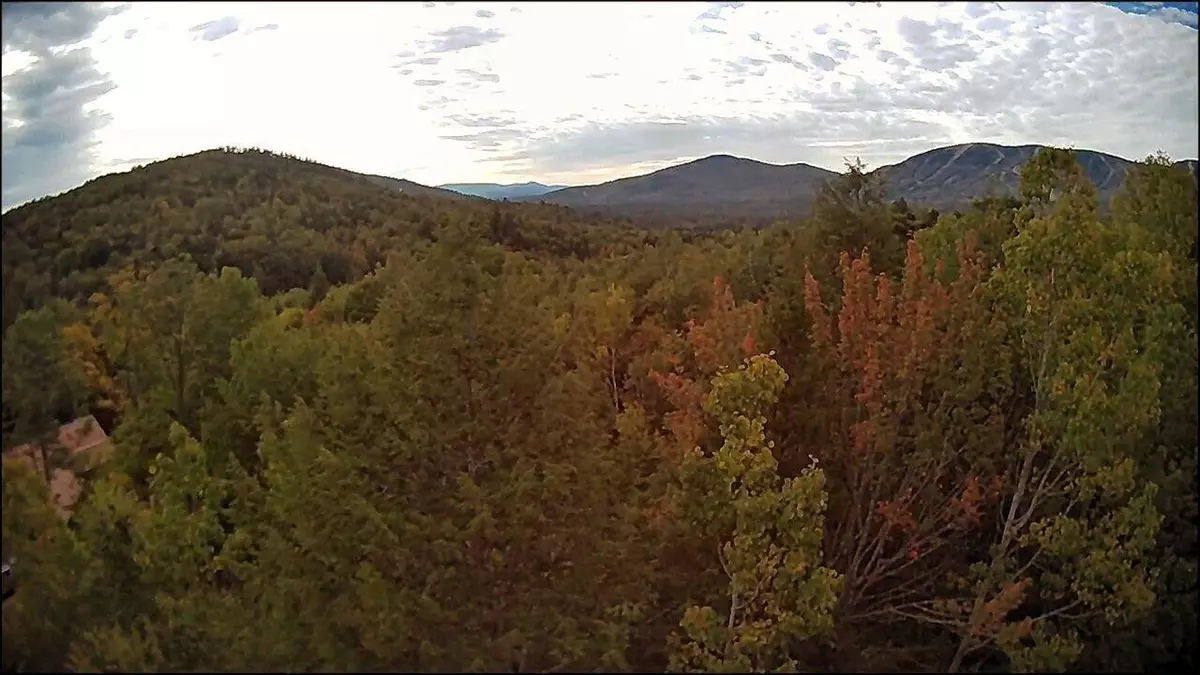 Newry, ME 04261,Lot 61 Douglas RD