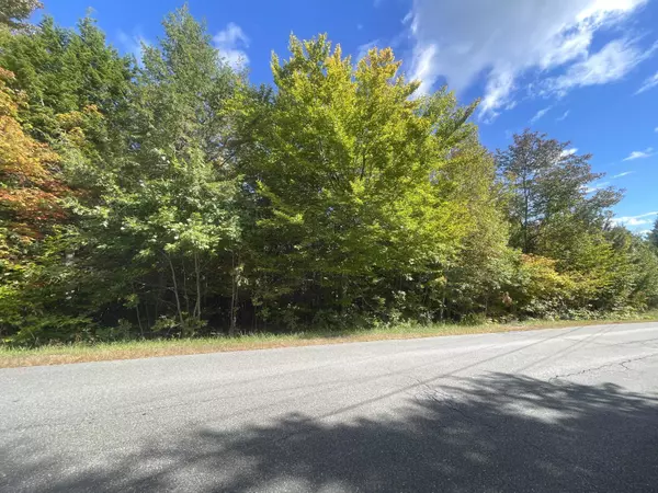 Oakland, ME 04963,Lot 3-3 Hammond DR