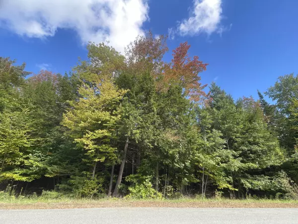 Oakland, ME 04963,Lot 3-4 Hammond DR