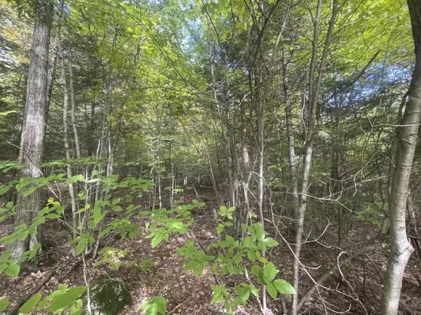 Oakland, ME 04963,Lot 3-4 Hammond DR