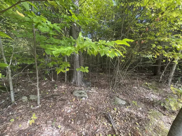 Oakland, ME 04963,Lot 3-4 Hammond DR