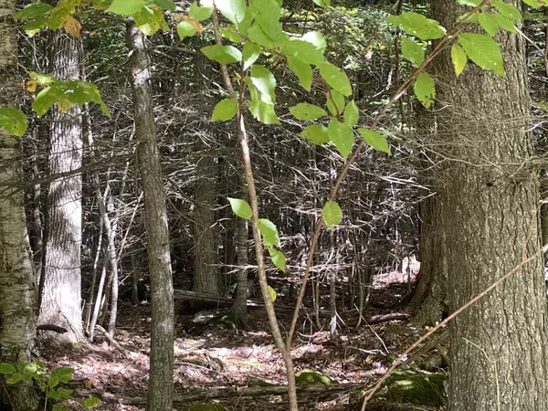 Oakland, ME 04963,Lot 3-5 Hammond DR